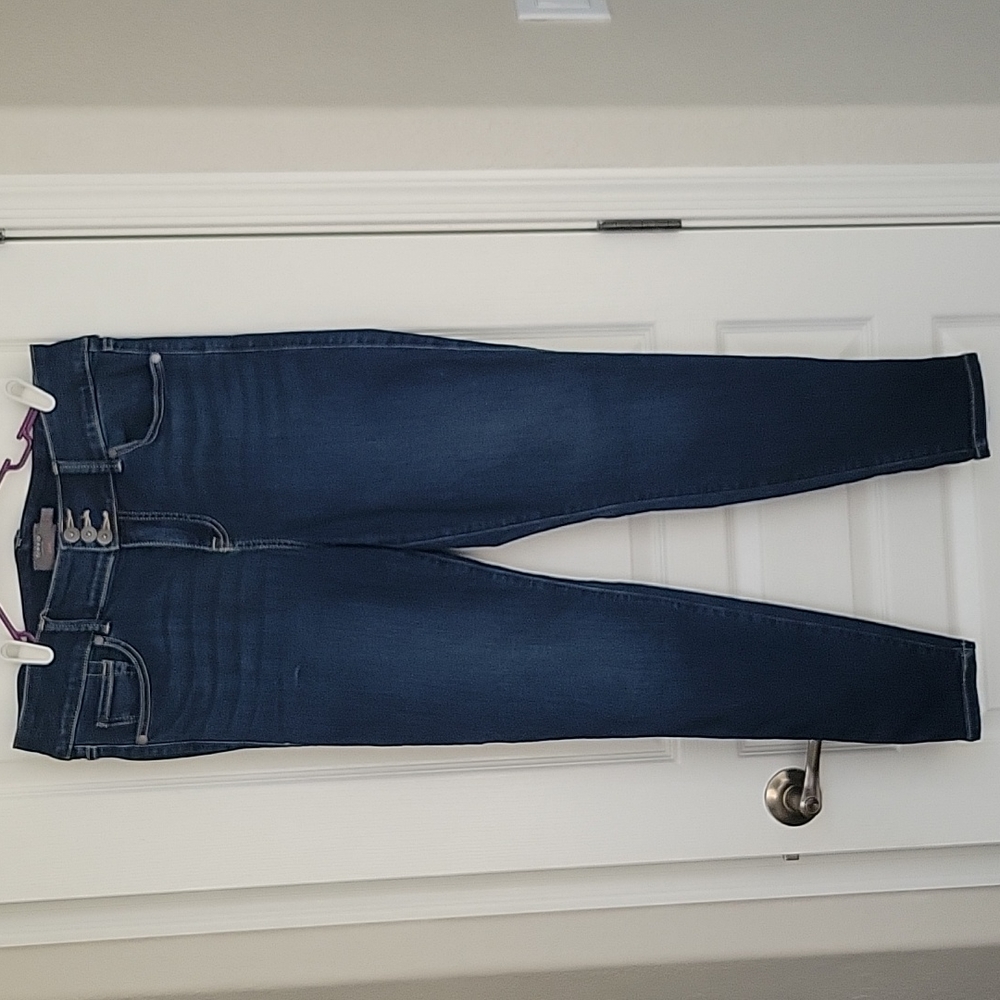 Torrid Jeggings, Dark Rinse (Size 14R)